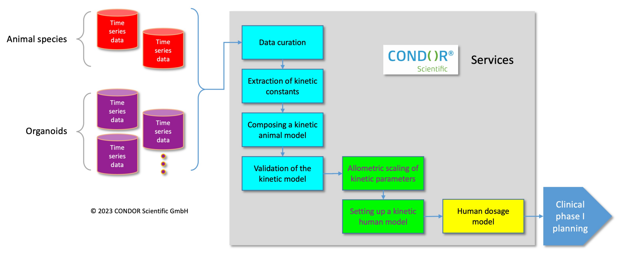 Workflow Translational Pharmacology