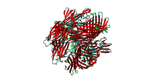 Staphylococcus aureus toxin alpha-hemolysin (RCSB PDB-ID 4P24).