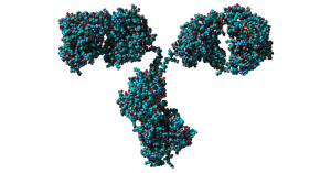 RCSB PDB-ID: 1IGT