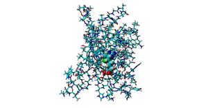 Biotin bound by streptavidin (from RCSB PDB-ID: 3RY2).